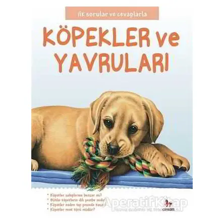 Köpekler ve Yavruları - İlk Sorular ve Cevaplarla - Camilla de la Bedoyere - Almidilli