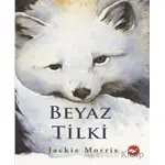 Beyaz Tilki - Jackie Morris - Beyaz Balina Yayınları