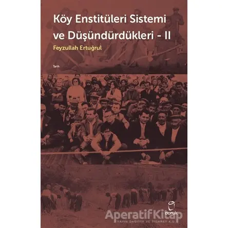 Köy Enstitüleri Sistemi ve Düşündürdükleri 2 - Feyzullah Ertuğrul - Doruk Yayınları