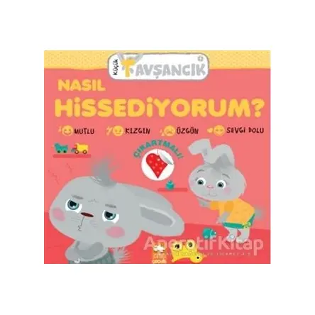 Küçük Tavşancık - Nasıl Hissediyorum? - Rasa Dmuchovskiene - Eksik Parça Yayınları