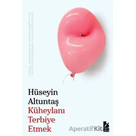 Küheylanı Terbiye Etmek - Hüseyin Altuntaş - Bir Yayıncılık