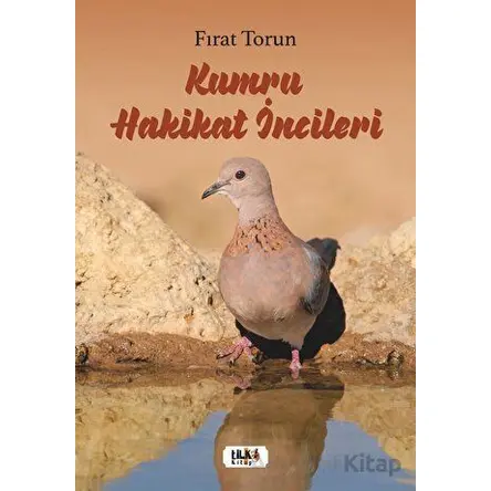 Kumru Hakikat İncileri - Fırat Torun - Tilki Kitap