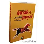 Amak-ı Hayal - Bahaeddin Sağlam - Kitsan Yayınları