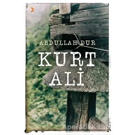 Kurt Ali - Abdullah Dur - Cinius Yayınları