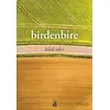 Birdenbire - Hilal Selvi - Küsurat Yayınları