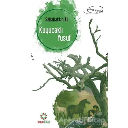 Kuyucaklı Yusuf - Sabahattin Ali - İnsan Kitap