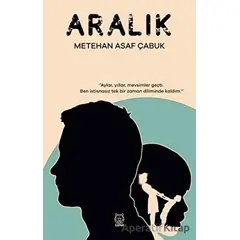 Aralık - Metehan Asaf Çabuk - Luna Yayınları