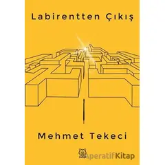 Labirentten Çıkış - Mehmet Tekeci - Luna Yayınları