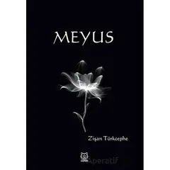 Meyus - Zişan Türkcephe - Luna Yayınları