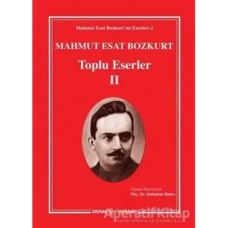 Mahmut Esat Bozkurt - Toplu Eserler 2 - Mahmut Esat Bozkurt - Kaynak Yayınları