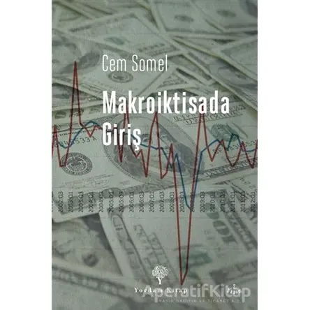 Makroiktisada Giriş - Cem Somel - Yordam Kitap