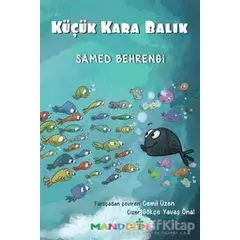 Küçük Kara Balık - Samed Behrengi - Mandolin Yayınları