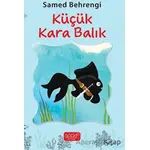 Küçük Kara Balık - Samed Behrengi - Bando Yayınları