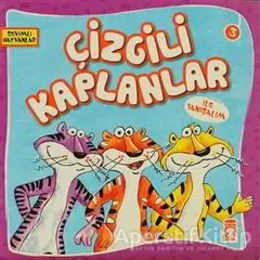 Çizgili Kaplanlar ile Tanışalım - Kolektif - Timaş Çocuk