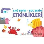 Sağ Beyin - Sol Beyin Etkinlikleri (6 Yaş) - Elif Konar - Minik Ada