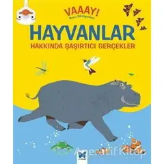 Hayvanlar Hakkında Şaşırtıcı Gerçekler - Emma Dodson - Mavi Kelebek Yayınları