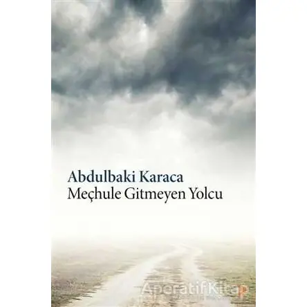 Meçhule Gitmeyen Yolcu - Abdulbaki Karaca - Cinius Yayınları