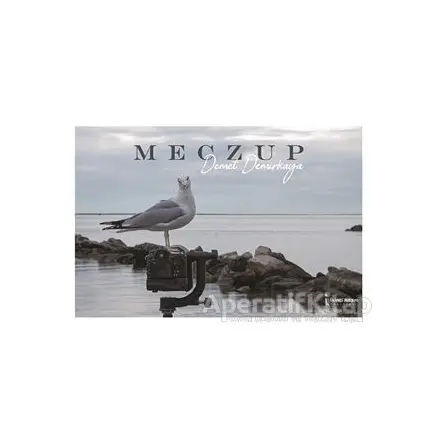 Meczup - Demet Demirkaya - İkinci Adam Yayınları