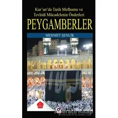 Peygamberler 6. Cilt - Mehmet Şenlik - Dua Yayınları