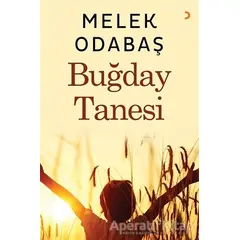 Buğday Tanesi - Melek Odabaş - Cinius Yayınları