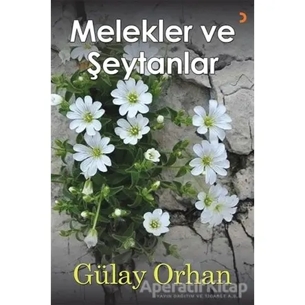 Melekler ve Şeytanlar - Gülay Orhan - Cinius Yayınları