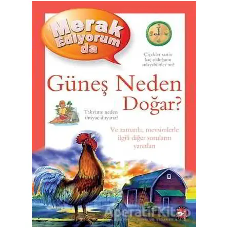 Merak Ediyorum da Güneş Neden Doğar? - Brenda Walpole - Beyaz Balina Yayınları