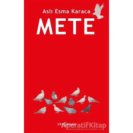 Mete - Aslı Esma Karaca - Yeni İnsan Yayınevi