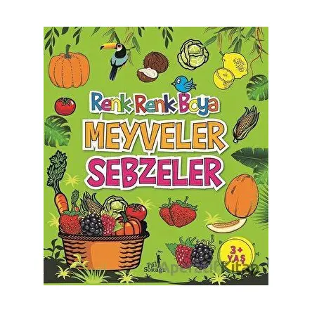 Meyveler Sebzeler - Renk Renk Boya - Serkan Karakoç - Pal Sokağı Yayınları