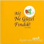 Ah! Ne Güzel Fındık! - Eric Battut - Albaraka Yayınları - Çocuk