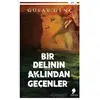 Bir Delinin Aklından Geçenler - Gülay Genç - Morena Yayınevi