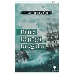 Deniz Köpüğü Duygular - Bilal Dedeoğlu - Morena Yayınevi