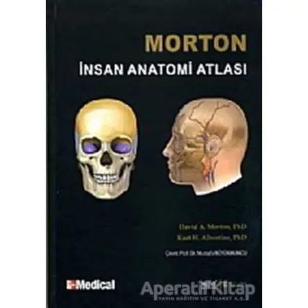 Morton İnsan Anatomi Atlası - Kurt H. Albertine - Nobel Tıp Kitabevi