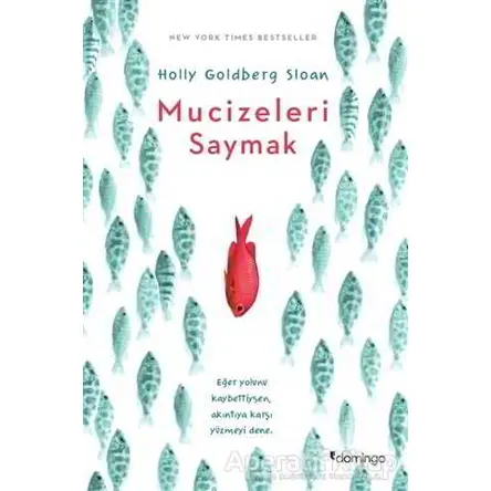 Mucizeleri Saymak - Holly Goldberg Sloan - Domingo Yayınevi