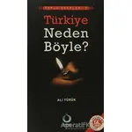 Türkiye Neden Böyle? - Ali Yürük - Sarkaç Yayınları
