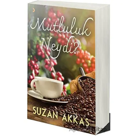 Mutluluk Neydi? - Suzan Akkaş - Cinius Yayınları