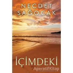 İçimdeki - Necdet Sağocak - Cinius Yayınları