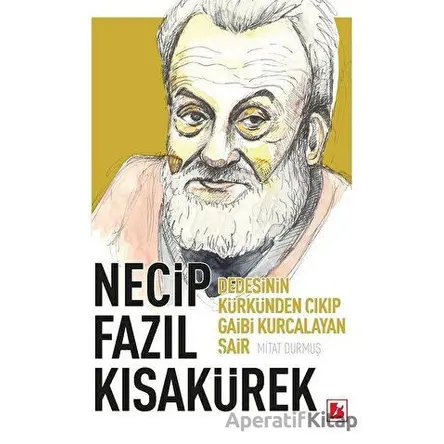 Necip Fazıl Kısakürek - Mitat Durmuş - Bir Yayıncılık