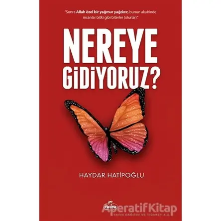 Nereye Gidiyoruz ? - Haydar Hatipoğlu - Ravza Yayınları