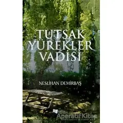 Tutsak Yürekler Vadisi - Neslihan Demirbaş - Karina Yayınevi