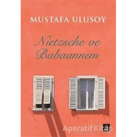 Nietzsche ve Babaannem - Mustafa Ulusoy - Kapı Yayınları