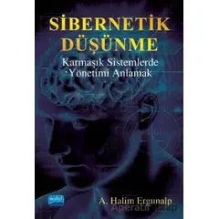 Sibernetik Düşünme Karmaşık Sistemlerde Yönetimi Anlamak