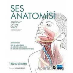 Ses Anatomisi - Theodore Dimon - Nobel Akademik Yayıncılık