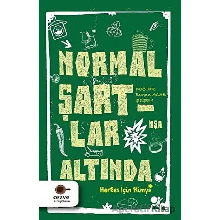 Normal Şartlar Altında - Burçin Acar Şeşen - Cezve Kitap