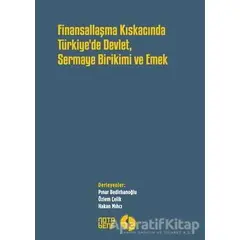 Finansallaşma Kıskancında Türkiyede Devlet Sermaye Birikimi ve Emek - Kolektif - Nota Bene Yayınları