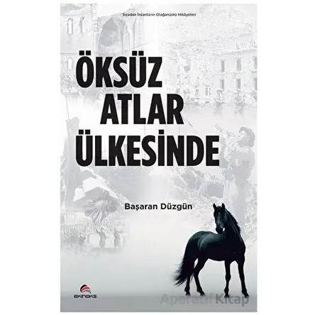 Öksüz Atlar Ülkesinde - Başaran Düzgün - Ekinoks Yayın Grubu