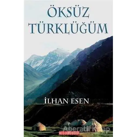 Öksüz Türklüğüm - İlhan Esen - Bilgeoğuz Yayınları