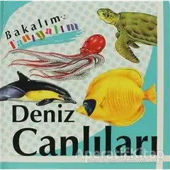 Bakalım Tanıyalım: Deniz Canlıları - Kolektif - Final Kültür Sanat Yayınları