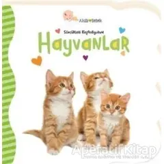 Hayvanlar - Sözcükleri Keşfediyorum - Gökçe Demir - Beta Kids