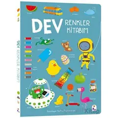 Dev Renkler Kitabım - The Boy Fitzhammond - İndigo Çocuk