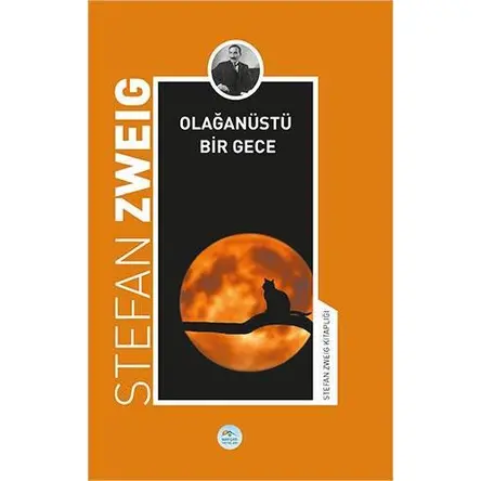 Olağanüstü Bir Gece - Stefan Zweig - Maviçatı Yayınları